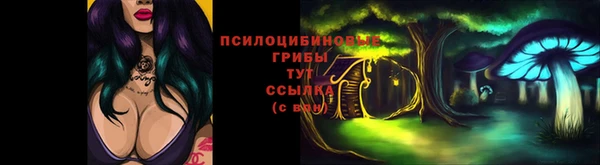 mdpv Магас